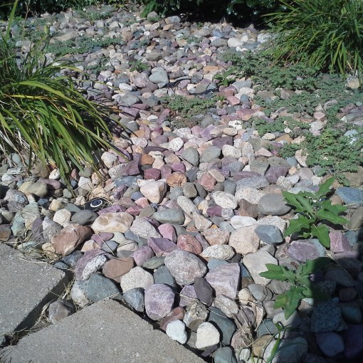 commercial-landscaping-installation-maintenance-Kansas-City