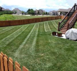 lawn-and-landscaping-landscape-Kansas-City-Overland-Park