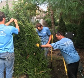 lawn-and-landscaping-companies-contractors-Kansas-City