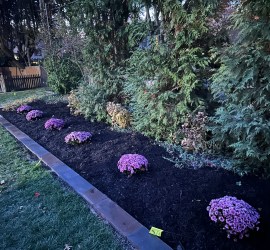 landscaping-hardscaping-lawn-care-Overland-Park-Kansas-City-Leawood