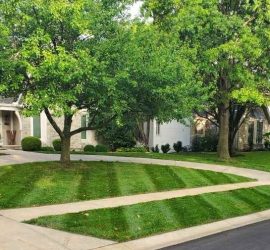 Kansas-City-lawn-care-landsaping