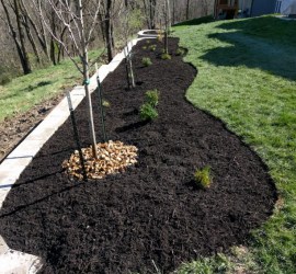 KC-Kansas-City-landscaping-landscape-design-contractor