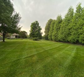 lawn-care-landscape-maintenance-KC-KCMO-Kansas-City-Overland-Park