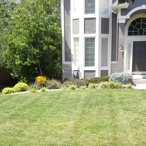 landscape-maintenance-landscaping-design-lawn-care-Kansas-City-Leawood